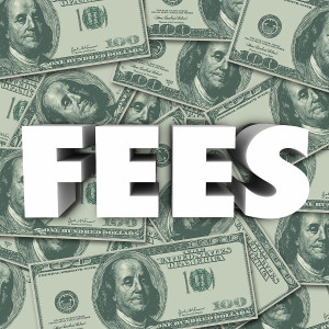 fees in lieu of convictions are questioned