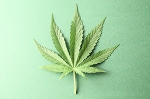 Bills aim to decriminalize marijuana in Texas